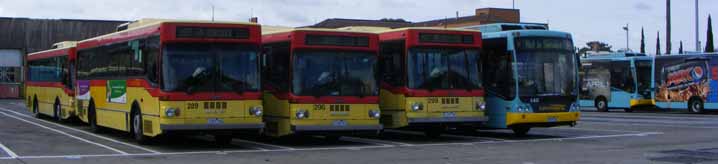 National Bus MAN SL200 Ansair 289, 296 & 299